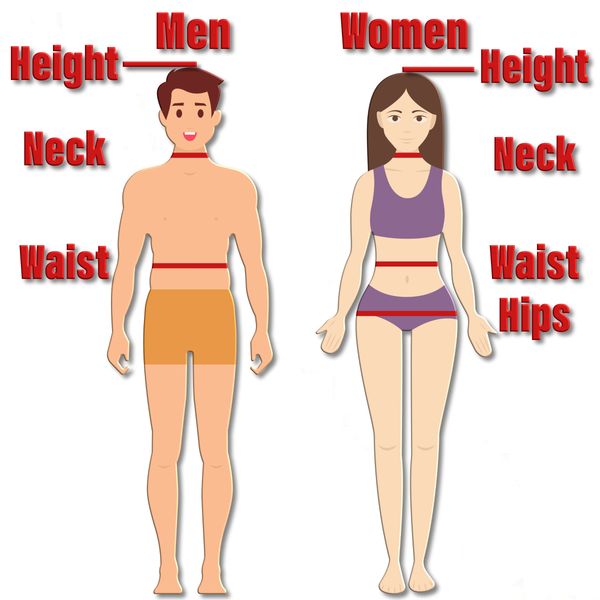 Navy Body Fat Calculator The fit and 50 formula